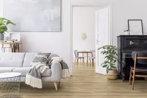Virtuo Classic 55 XL