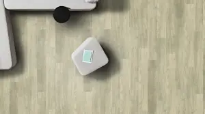 Apollo