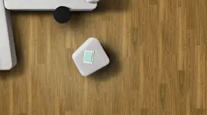 Apollo