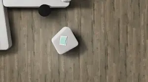 Apollo
