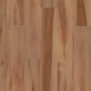 MiPlank