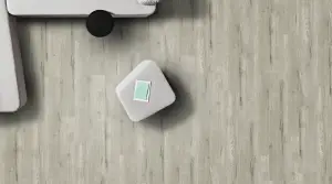Apollo