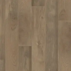 MiPlank